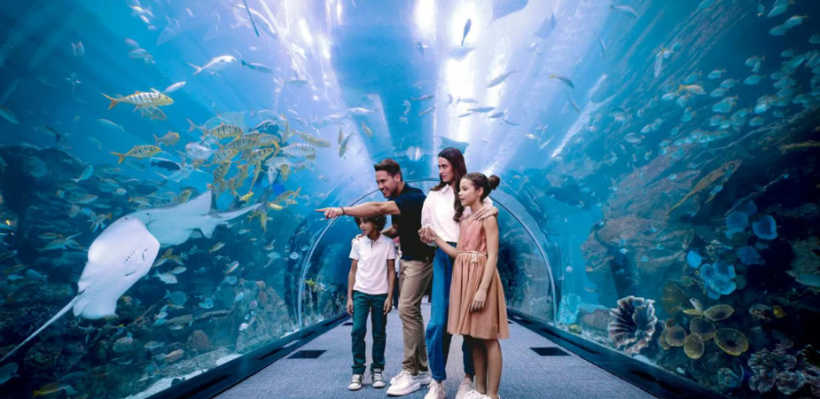 Dubai Aquarium & Underwater Zoo